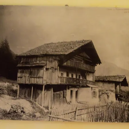 Serena - Tre Cime Views Hotel Auronzo di Cadore