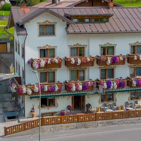 Serena - Tre Cime Views